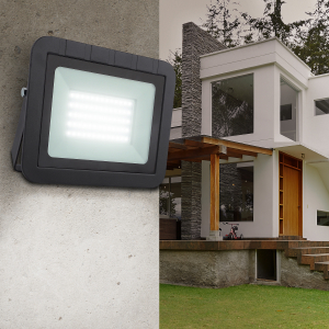 Прожекторы ЭРА LPR-061-0-65K-050 Б0043591